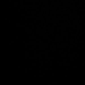 Meet your Posher, Shania